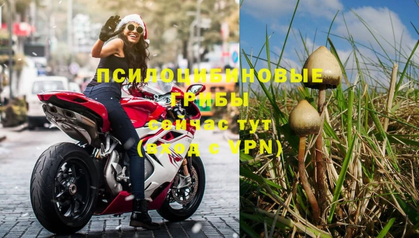 прущие крисы Инта