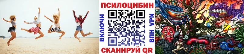 Псилоцибиновые грибы Psilocybe  Купить  Белинский 
